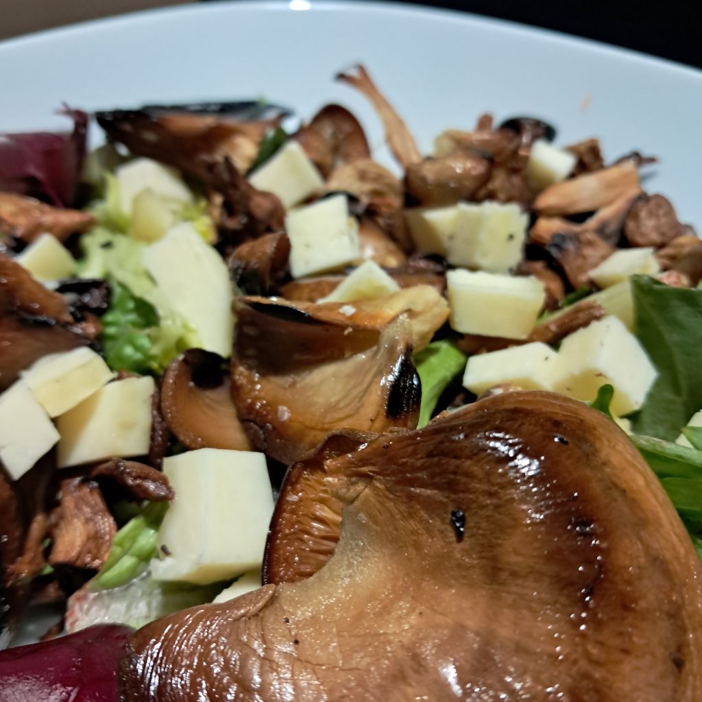 sałataka z boczniakami